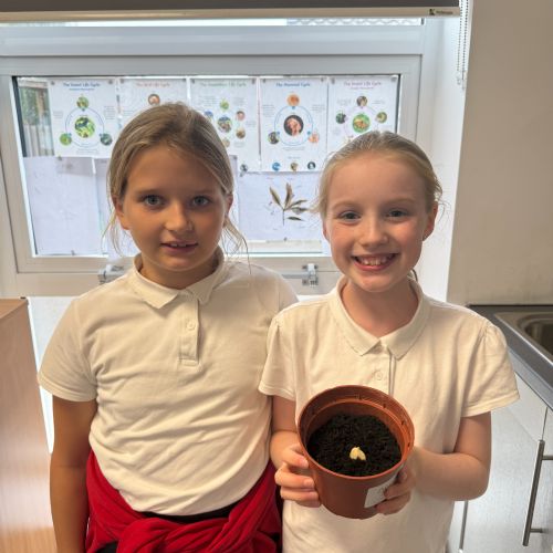 Planting in Science